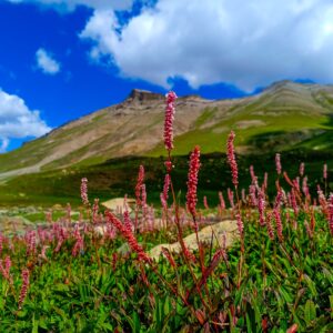 Kashmir Valley